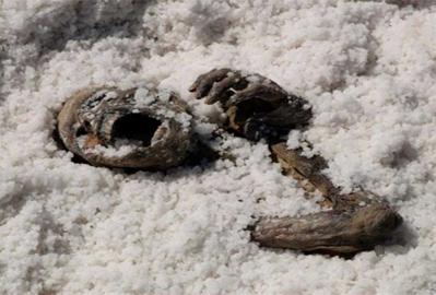 skull in sand
